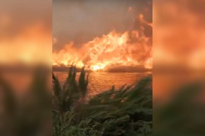 «Жуткое зрелище»: в Новоузенском районе степной пожар добрался до села и уничтожил несколько домов (видео)