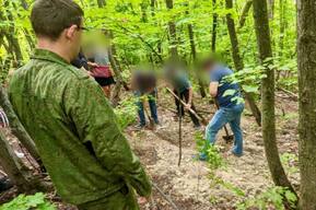 В лесополосе в Ленинском районе нашли части человеческого тела