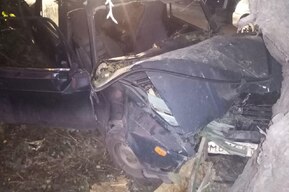 В Лысогорском районе отечественная легковушка врезалась в дерево: трое в больнице 