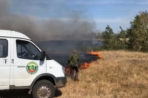 Крупное возгорание в лесу Марксовского района, которое тушили 8 часов: решается вопрос о возбуждении уголовного дела