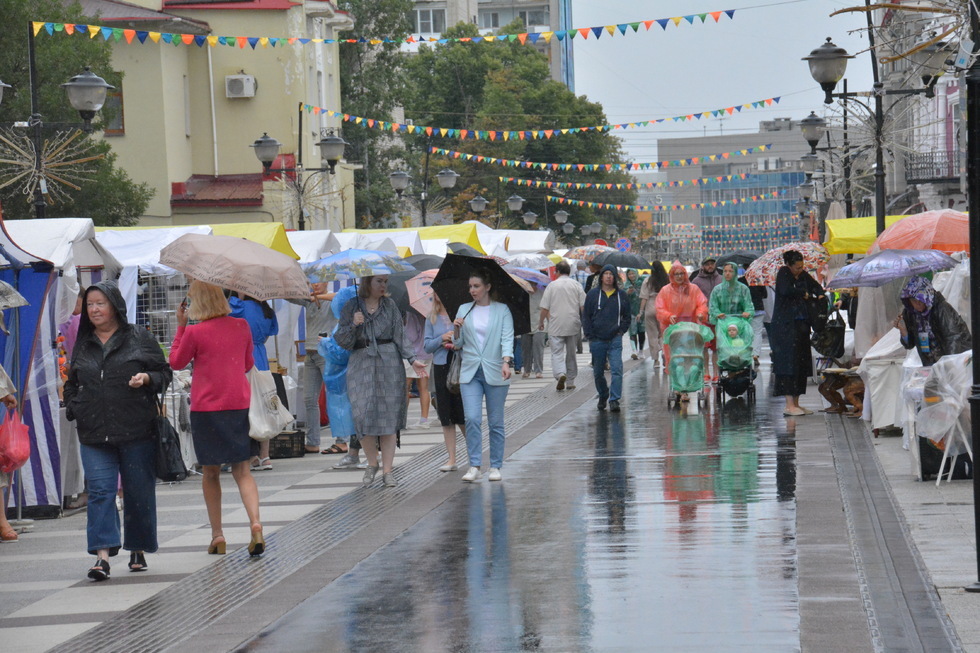 Пешеходная улица Саратова на несколько дней превратилась в центр палаточной торговли из-за фестиваля: мнение министра