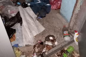 «Хочется плакать от бессилия»: жители дома на улице Зои Космодемьянской не могут ужиться с соседом, который складирует в подъезде мусор с помойки