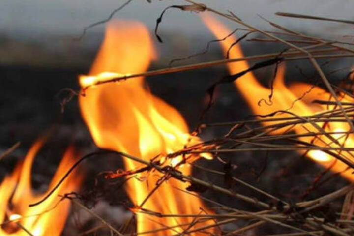 На окраине села в регионе сгорело 25 тонн сена