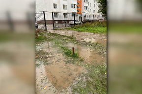 «Даже в резиновых сапогах невозможно пройти»: горожанка показала, как выглядит дорога к детскому саду в Ленинском районе