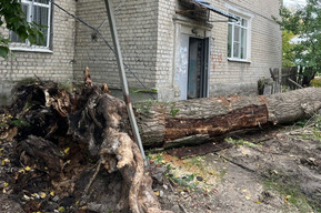 Жители Нагорной пожаловались, что за лето у их дома упало два дерева: одно снесло балкон, второе повредило газовую трубку
