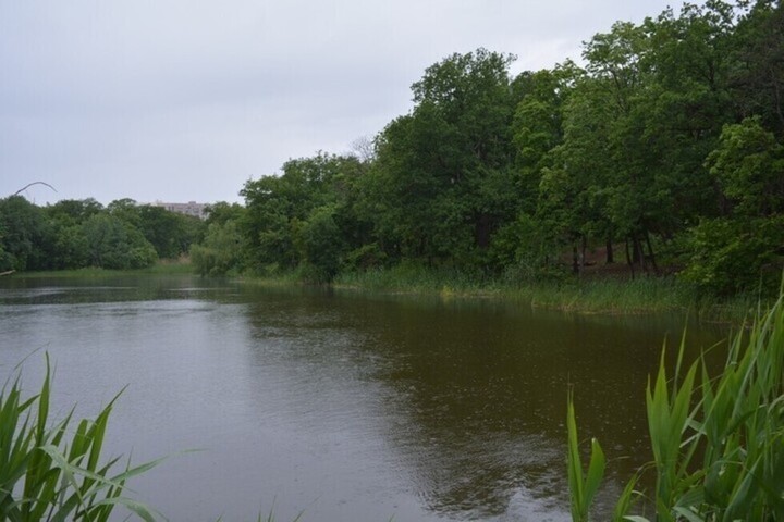 Благоустройство территории вокруг пруда в Саратове подорожало до 60 миллионов рублей