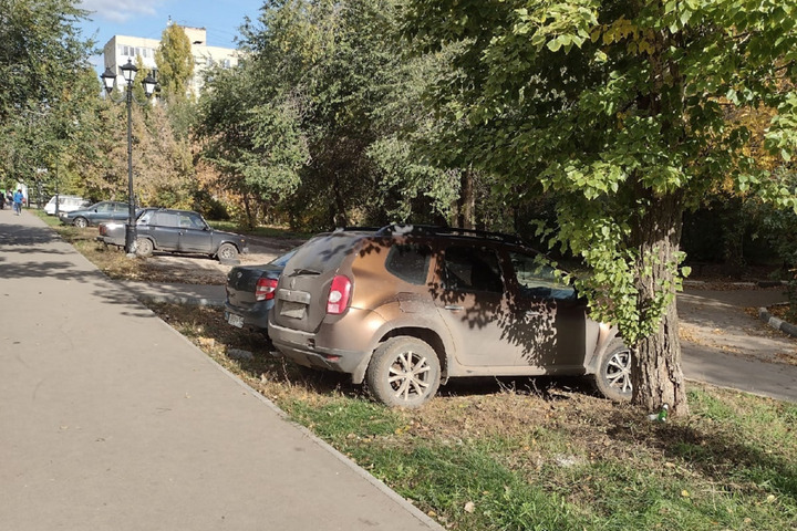 «Не так давно привели аллею в порядок. Глаз радовался»: горожане возмутились автохамам, которые паркуют машины на новом газоне