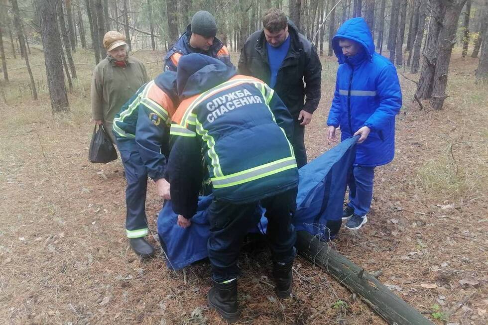 Пенсионерка ушла в лес и не смогла выбраться из него самостоятельно: потребовалась помощь спасателей