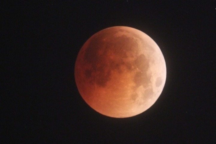 В ноябре жители Саратовской области увидят последний осенний звездопад и вечернее затмение Луны