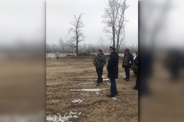 В Марксе за лето вырубили деревья на берегу Волги: прокуратура начала проверку