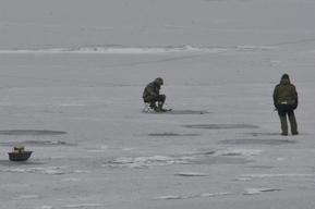 В Энгельсе рыбаки массово игнорируют постановление правительства и выходят на тонкий лёд