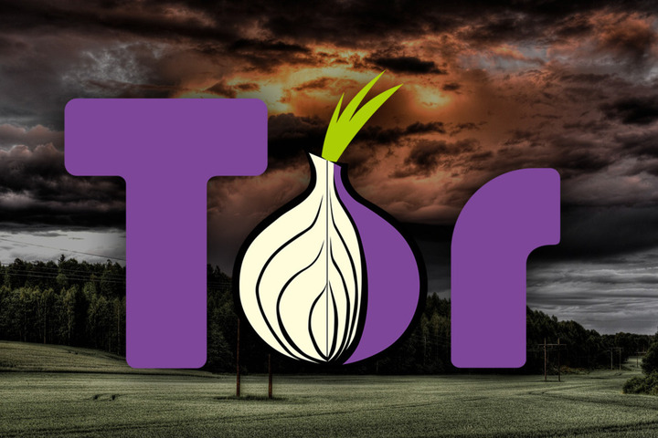 Новый виток в деле Tor Project: Саратовский областной суд принял решение