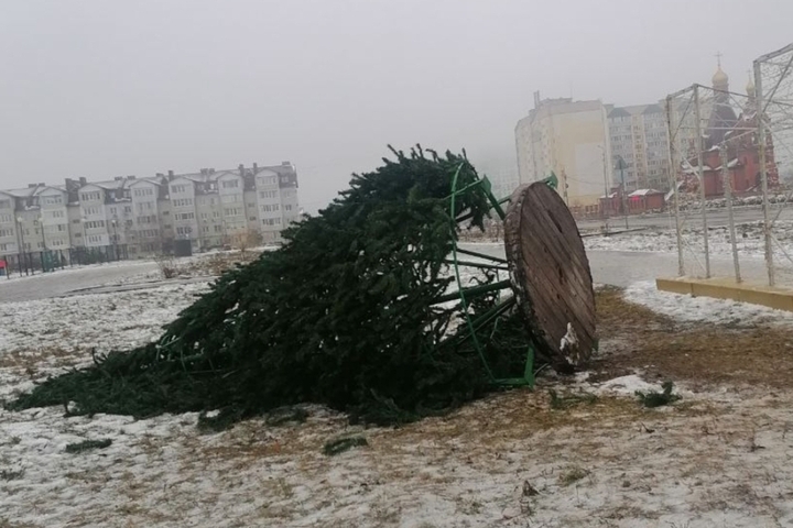 «Ёлка, которую мы заслужили»: в Юбилейном рухнуло новогоднее дерево