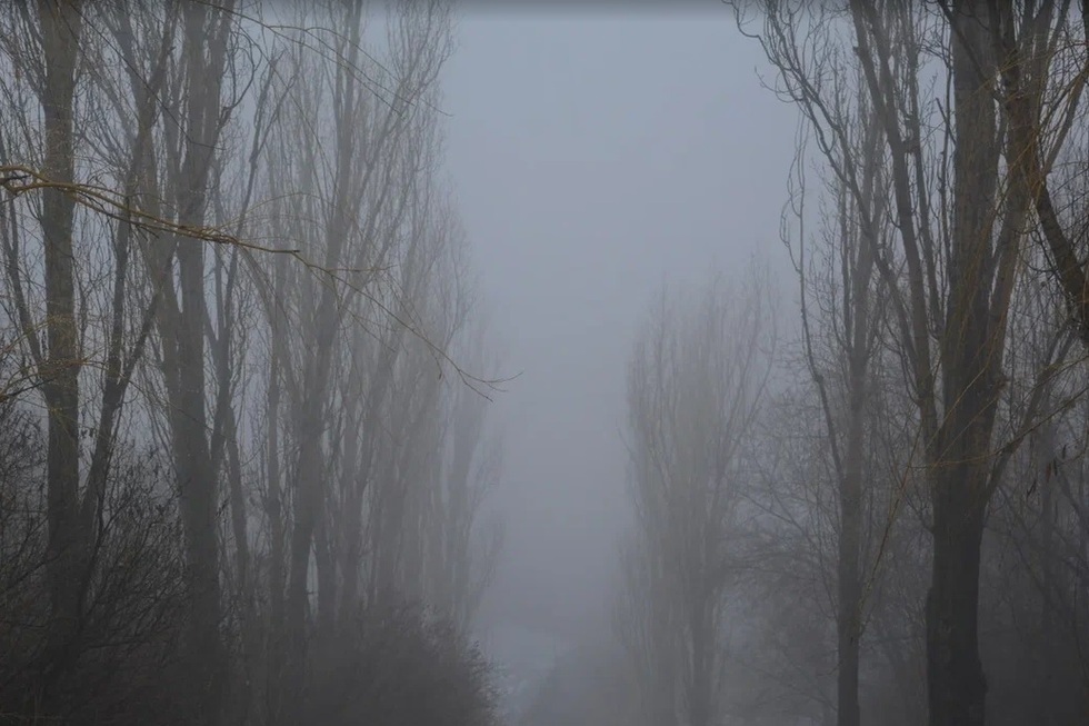В Саратовской области сохранится туман
