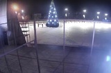 В Пугачеве неизвестные устроили дрифт у новогодней елки, вырвали ветку и вручили ее девушке в качестве «трофея»