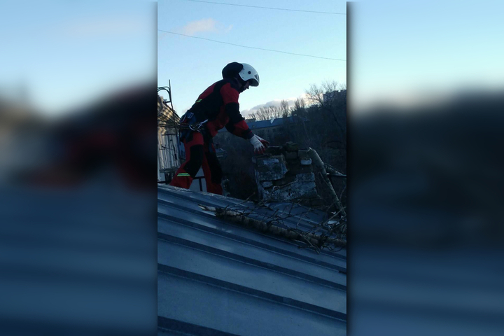 В Ленинском районе рухнувшее дерево разбило окно, повредило 2 автомобиля и газовую трубу: жильцы пятиэтажки остались без отопления