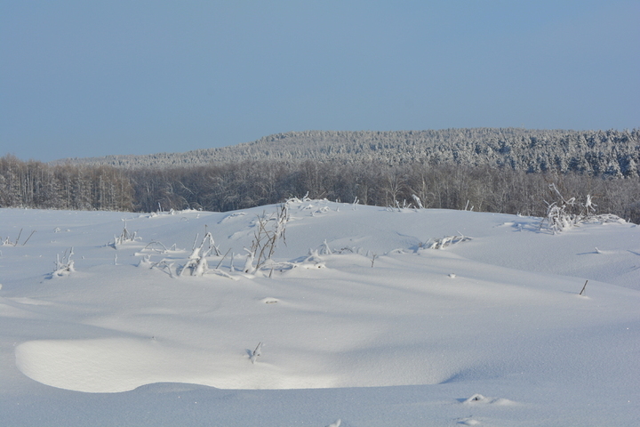 В гидрометцентре назвали дату прихода снегопадов в Саратовскую область