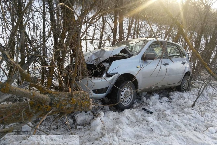 После столкновения с иномаркой Datsun съехал с дороги и врезался в дерево: есть пострадавшая