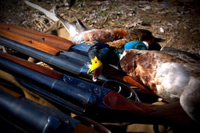 В Госдуму внесен закон, предлагающий в 4 раза увеличить штраф за нарушение правил охоты