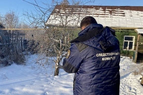 Житель Петровска нашел во дворе дома замёрзшую насмерть мать. Следователи начали проверку
