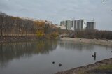 Выбран подрядчик для освоения 57 миллионов рублей на благоустройстве второй очереди парка у пруда Семхоз
