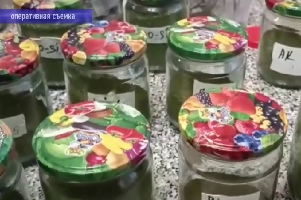 Полицейские задержали «мастера консервации», который дома вместо солений хранил в банках коноплю