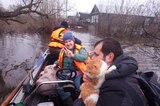 Паводок-2023: в Петровском районе подтоплено почти пятьсот домов, жителей эвакуируют вместе с домашними животными