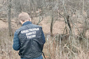 В затопленной лесополосе в Балашовском районе прохожая нашла труп неизвестного