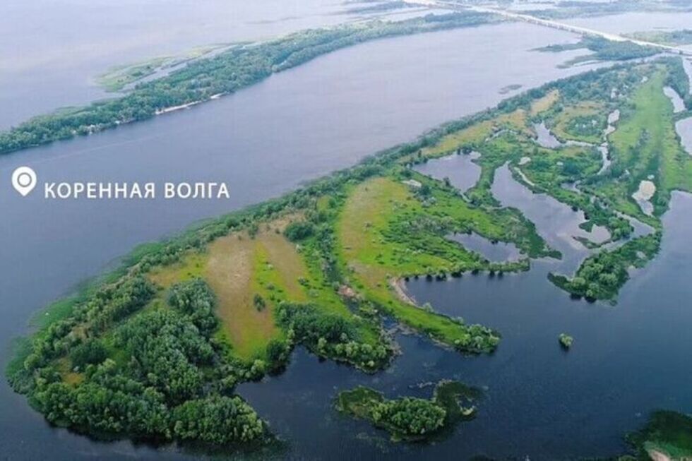 Власти незаконно отдали в частную собственность остров на Волге недалеко от Саратова. Возбуждено уголовное дело