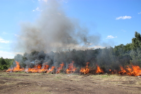 В Саратовской области начался ещё один пожароопасный сезон