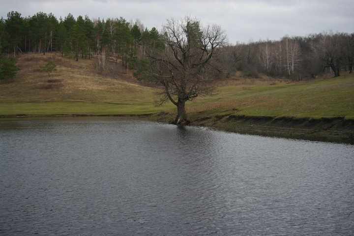 Саратовец рассказал, что талые воды переполнили пруд у села Поповка и разрушили плотину