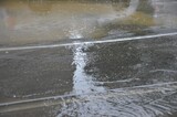 Сухая неделя в Саратовской области сменится дождями: названы даты выпадения осадков