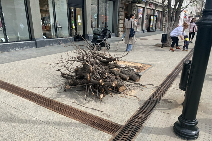 Главную пешеходную улицу Саратова ждет «расчистка площадей от деревьев»