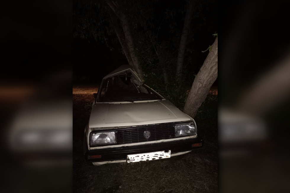 В Саратовской области иномарка влетела в дерево: водитель погиб