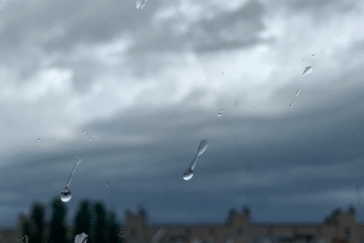 Дождь и сильный ветер: в МЧС предупредили жителей Саратовской области о непогоде