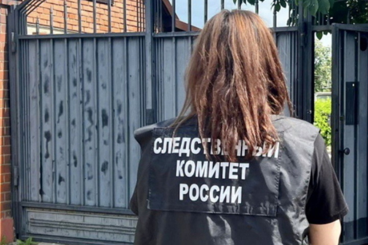 В Пятигорске девушка дала отпор полицейским, перепутав их с насильниками - ecomamochka.ru | Новости