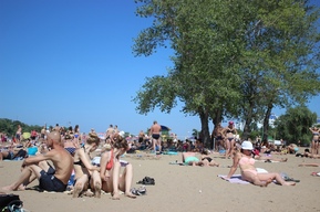Количество пляжей, на которых можно теперь купаться в Саратове, увеличилось до трёх