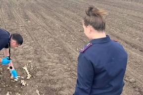 Труп неизвестного, тело женщины и кости в поле нашли в течение дня жители Саратовской области