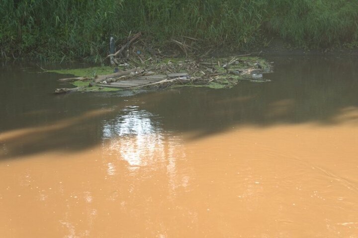 Жители района жаловались на состояние реки Аткара: в причинах загрязнения будет разбираться Роспотребнадзор