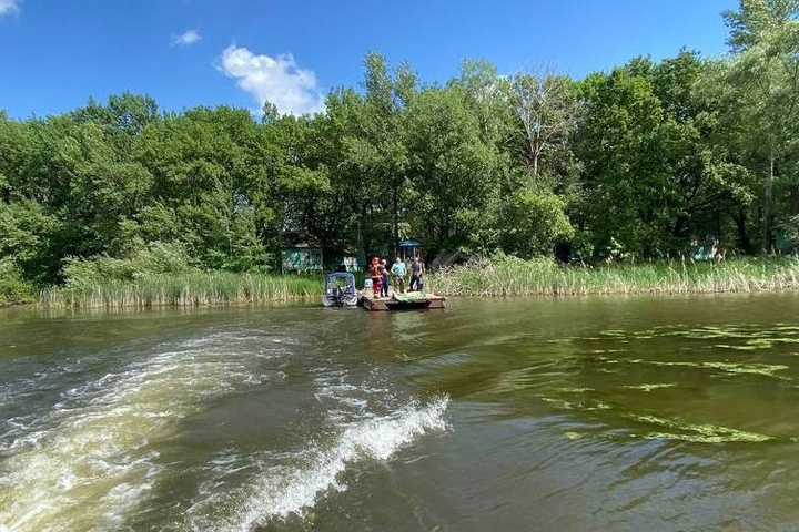 Что нашли в волге