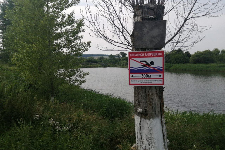 В пруду в Вольском районе утонул ребёнок