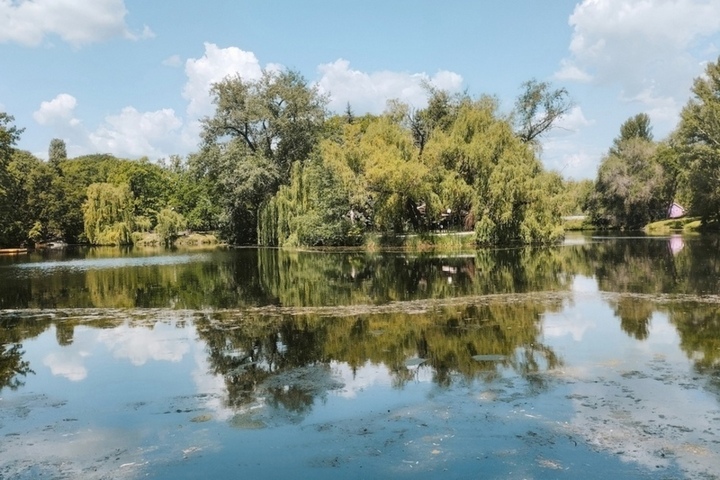 Купить Дом В Саратове Горпарк