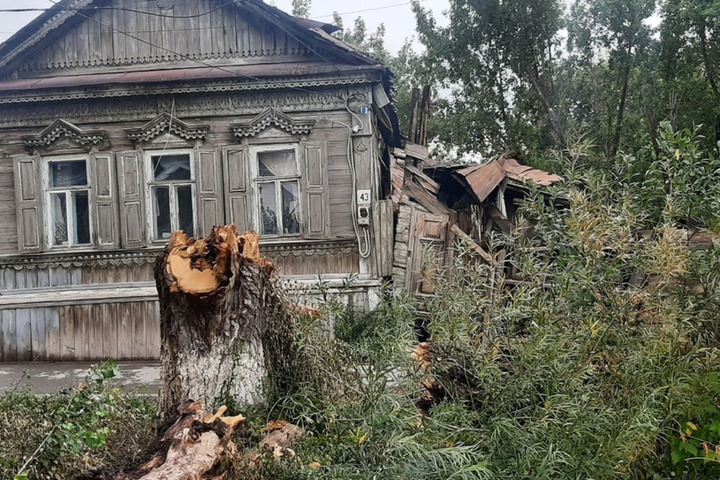 В Пугачеве во время урагана дерево упало на жилой дом, жители опасаются нового ЧП