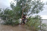 Потоп в Озинском районе. Спасатели помогли ребенку и двоим взрослым, которых смыло с дороги и чуть не унесло течением