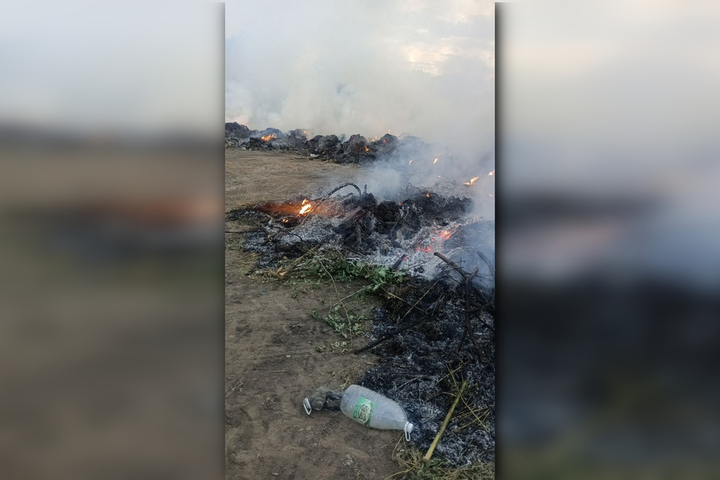 Рядом с кладбищем в Балаковском районе из-за мусора произошёл крупный пожар