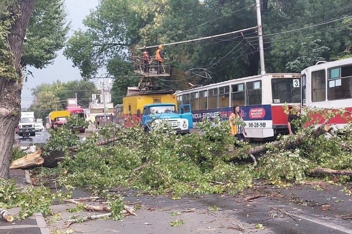 После сильного ветра в центре Саратова большое дерево упало на трамвай. Движение машин и общественного транспорта заблокировано