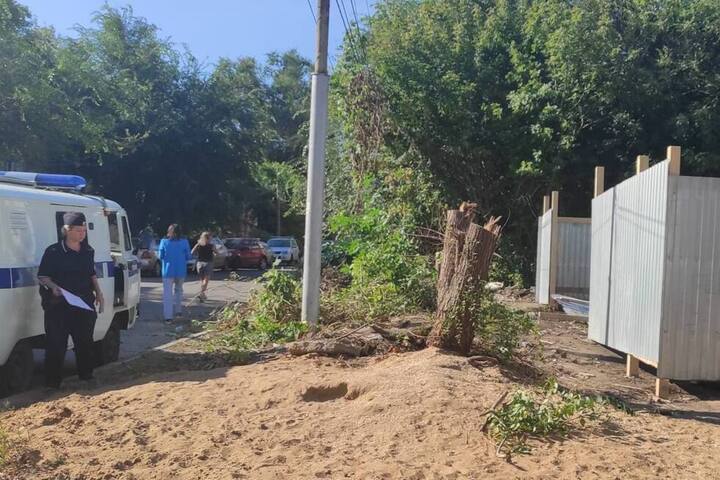 В центре Саратова незаконно вырубили деревья. Стоимость ущерба предстоит подсчитать экспертам