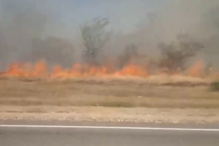 Под Энгельсом загорелась лесополоса, федеральную трассу затянуло дымом (видео)