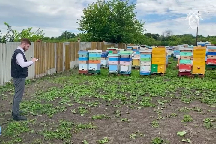 Суд решил судьбу ветврача, которая незаконно оформляла документы на поставку большого количества мёда