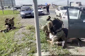 Полицейские нашли в регионе наркоплантацию на приусадебном участке: видео